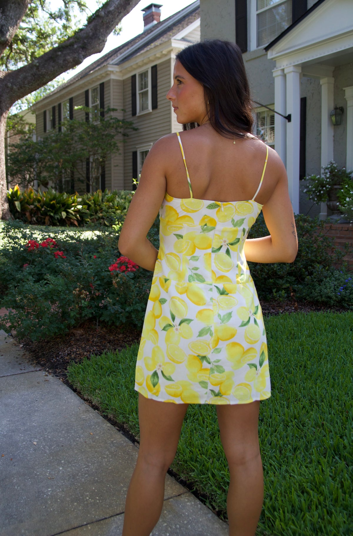 Let’s Make Lemonade Dress