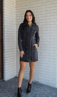 Gabrielle Denim Dress