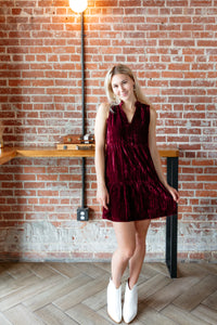 Helena Velvet Dress