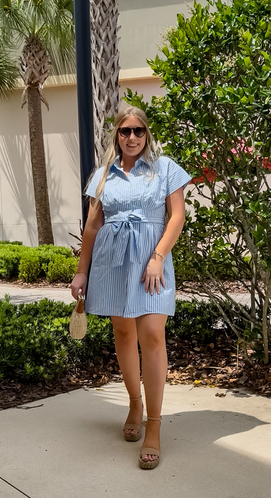 Megan Stripe Dress