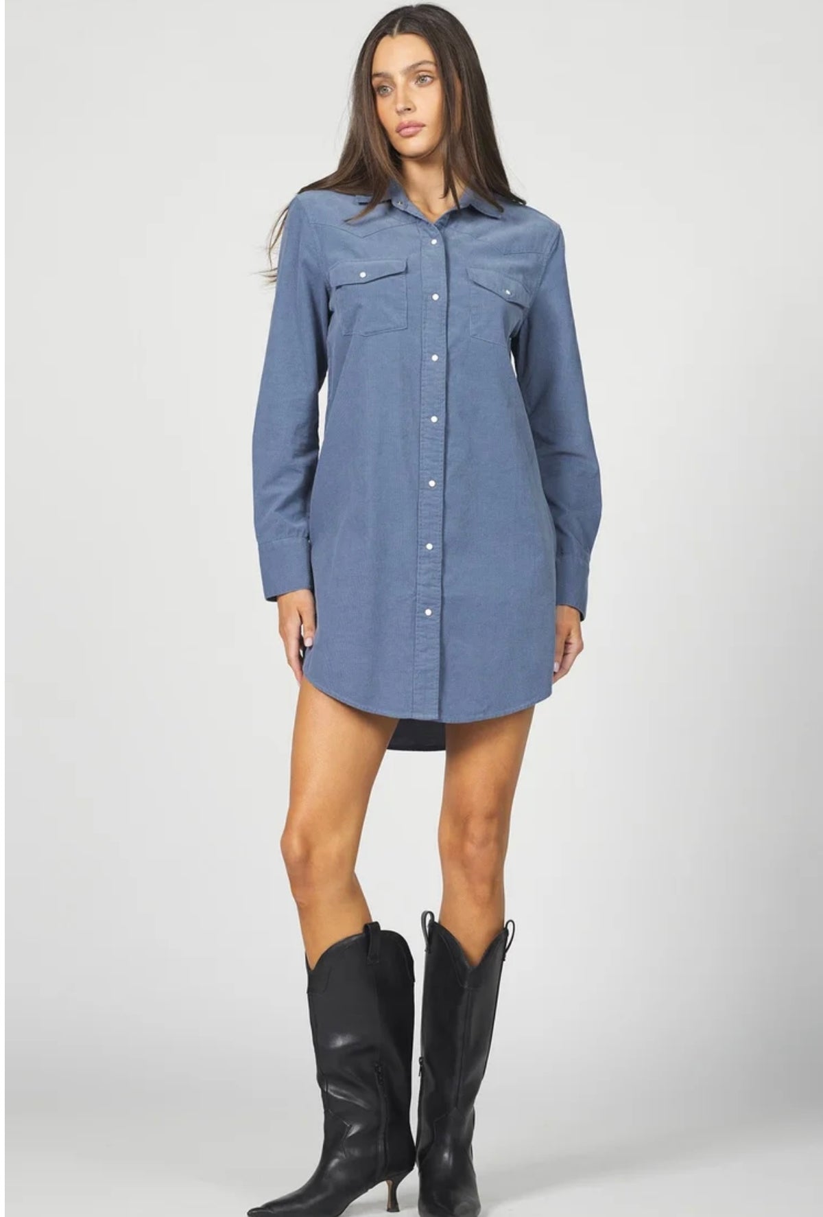 Rory Button Down Dress