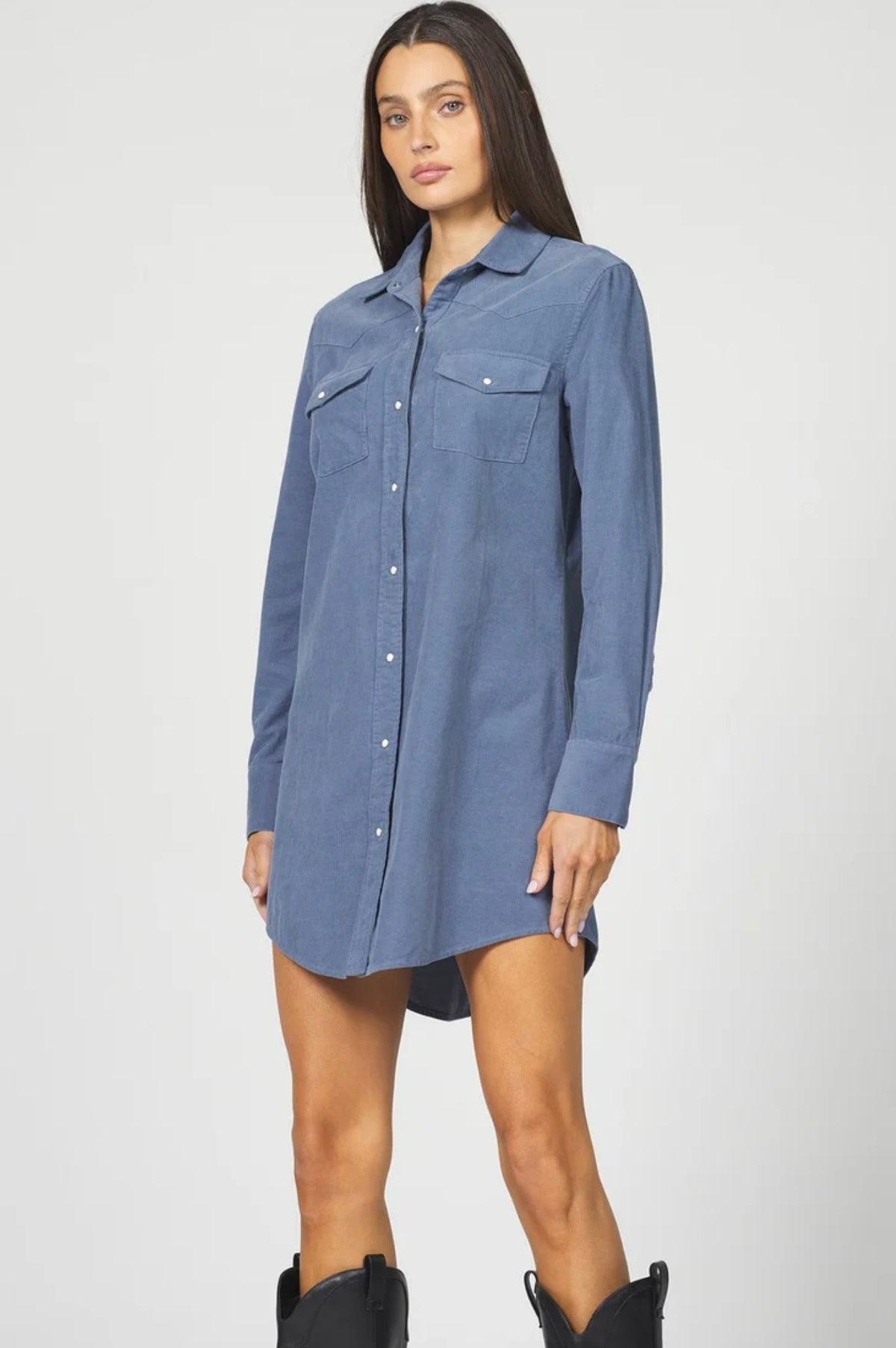 Rory Button Down Dress