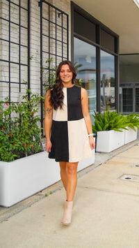 Suede Contrast Shift Dress