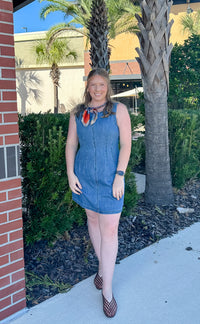 Denim Days Dress