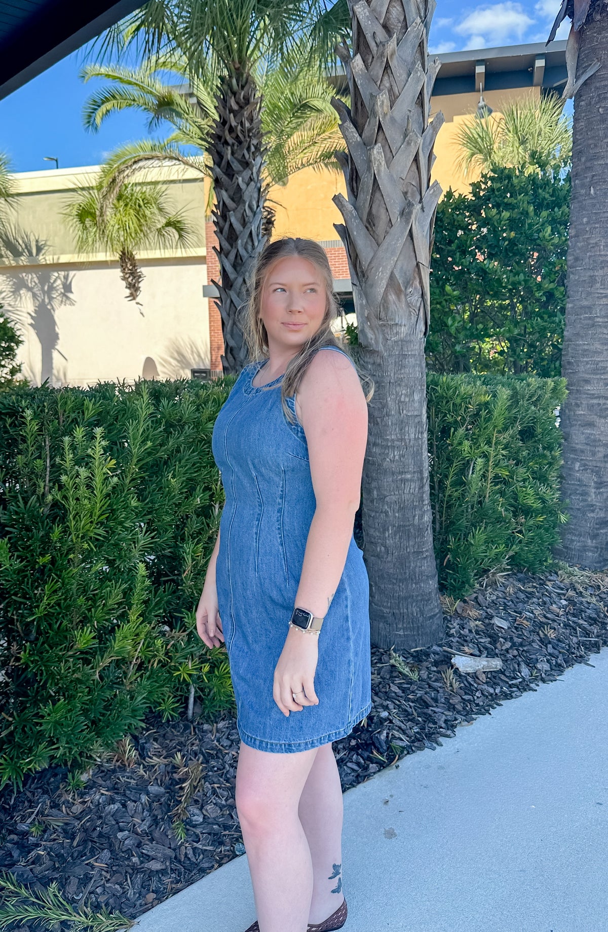 Denim Days Dress